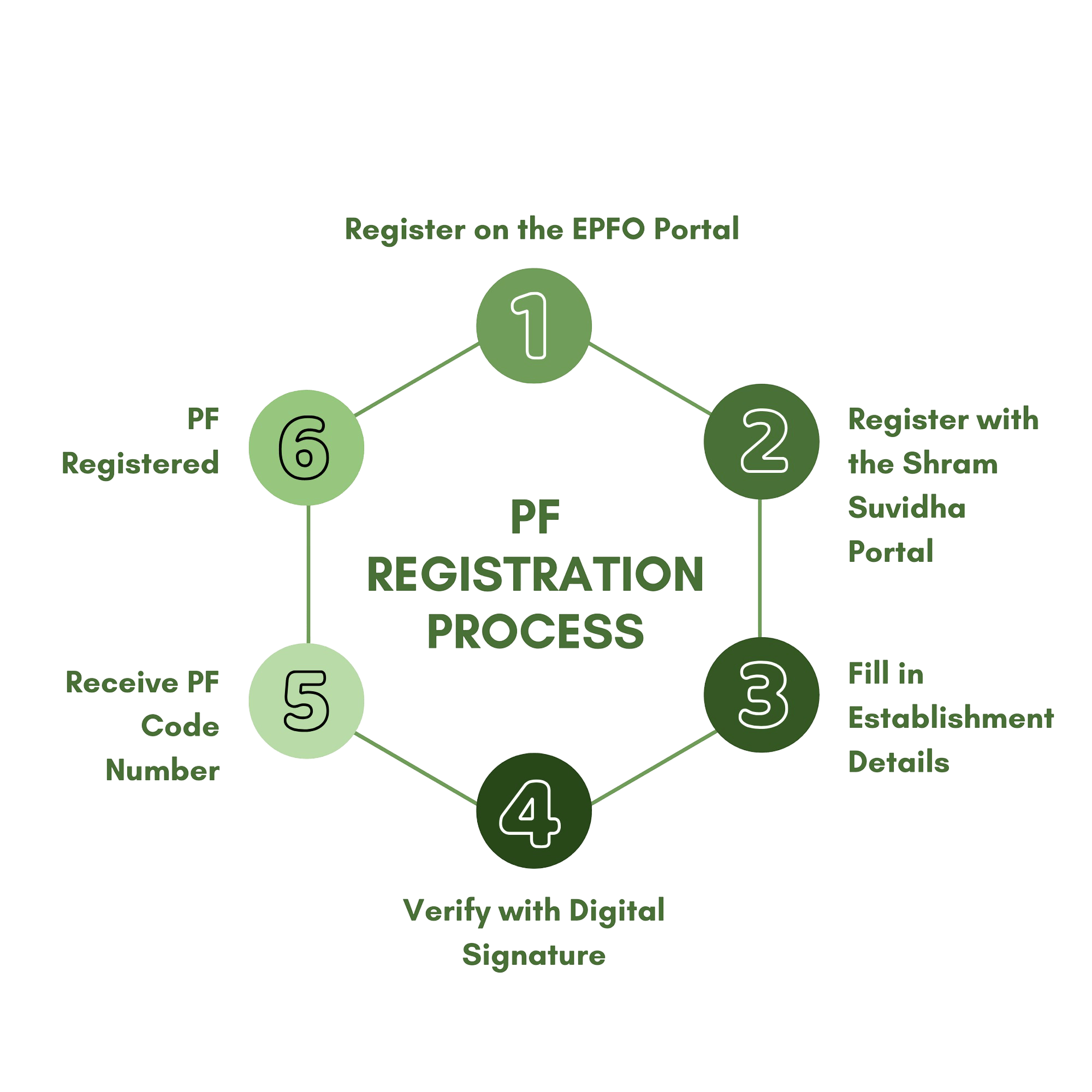 PF (Provident Fund) Registration Process